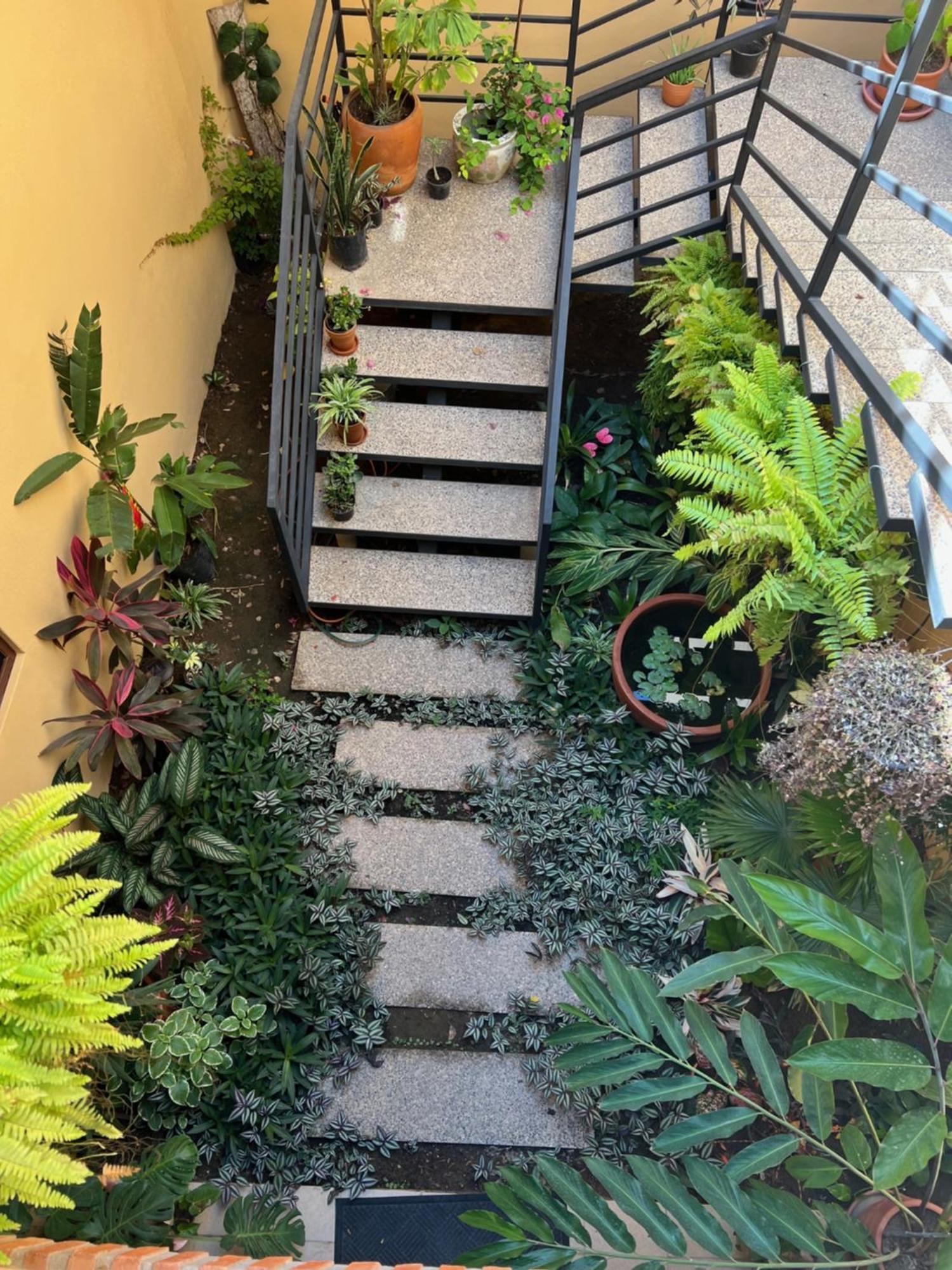 Casa Botanica Lo de Marcos Exterior foto