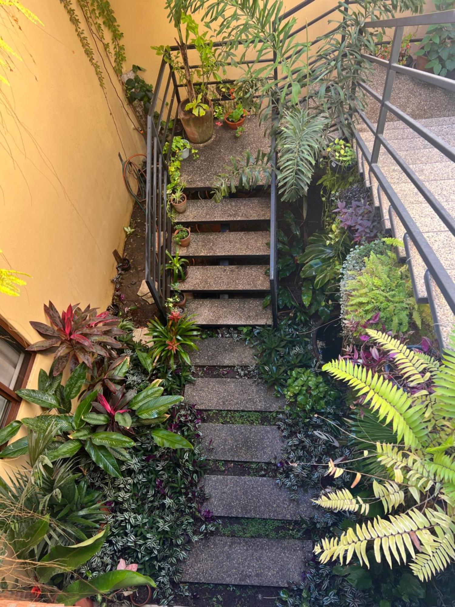 Casa Botanica Lo de Marcos Exterior foto